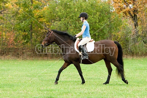 Young woman horseback riding