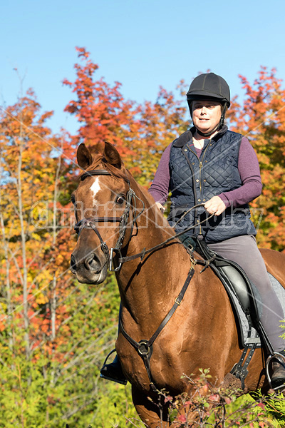 Woman riding a Chestnut Thoroughbred horse