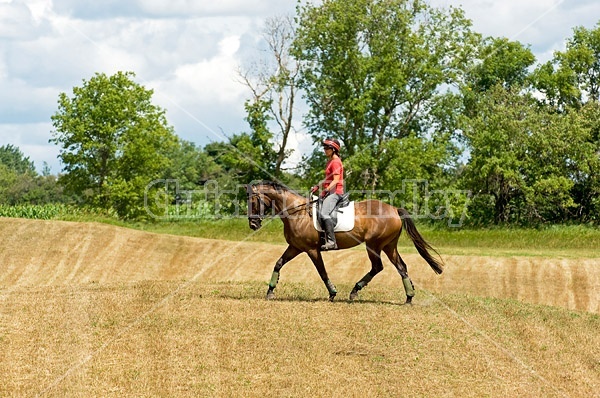 Woman horseback riding in field