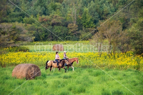 Two young women horseback riding western through summer pasture fields.