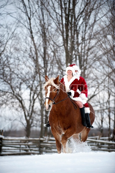 Santa Claus and Mrs. Claus riding double on a Belgian draft horse