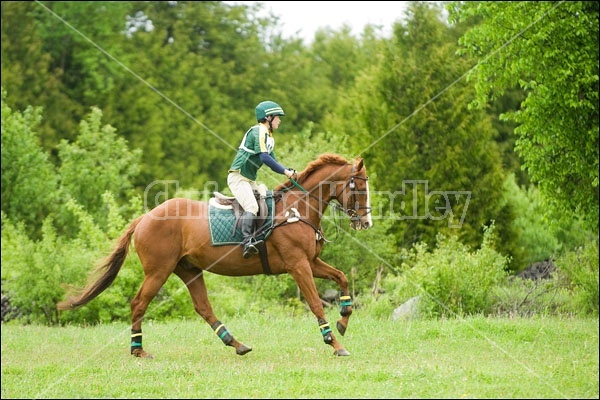 Horse Trials