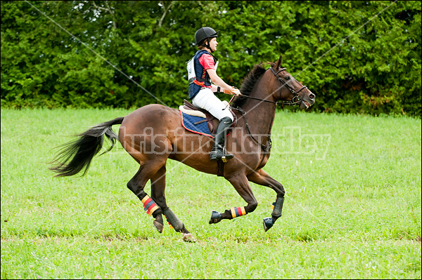 Lanes End Horse Trials