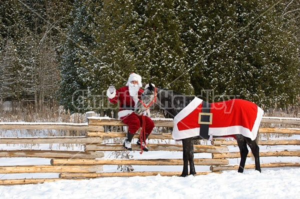 Santa Claus and his Horse