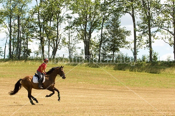 Woman horseback riding in field