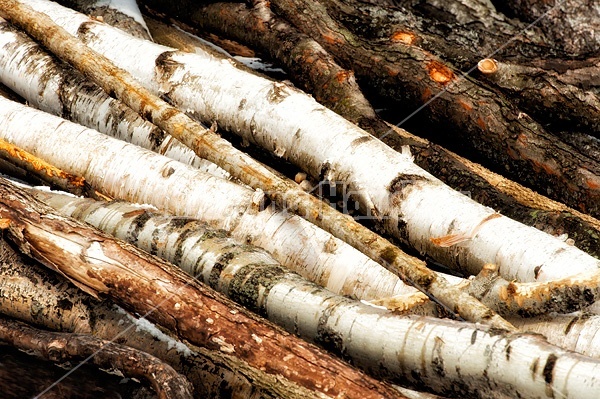 Hardwood firewood logs