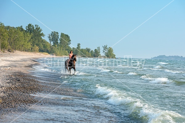 Young woman horseback riding in the surf of Lake Ontario. 