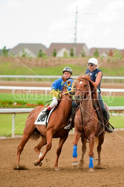 Quarter Horse Racing at Ajax Downs