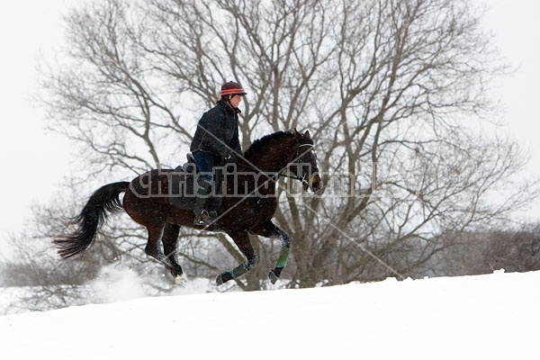 Woman horseback riding in the winter