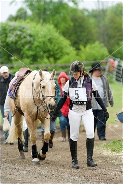 Horse Trials