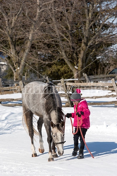 Young girl leading horse