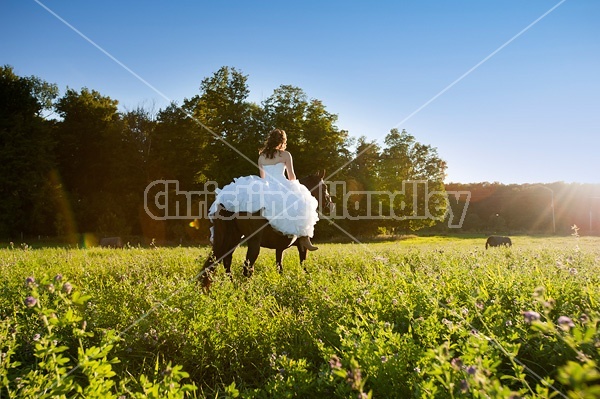 Woman riding horse wearing a wedding dress