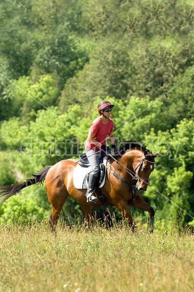 Woman horseback riding in field