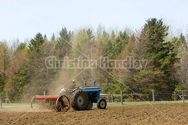 Man driving tractor pulling a seed drill planting oats