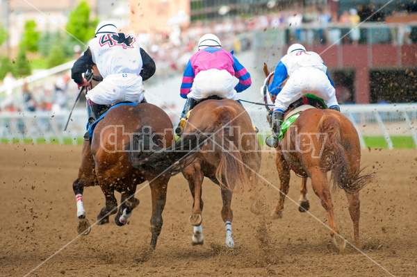 Quarter Horse Racing at Ajax Downs