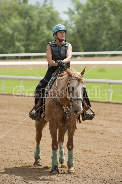 Quarter Horse Racing at Ajax Downs