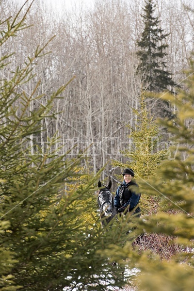 Woman riding Hanoverian mare through forest