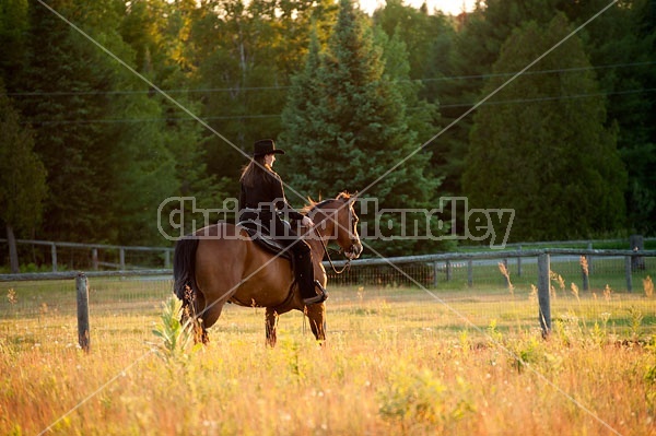 Young woman riding an American Paint Horse mare in the golden glow of the late evening light