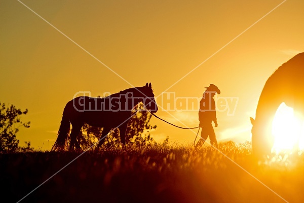 Woman with horse silhouetted against evening sky