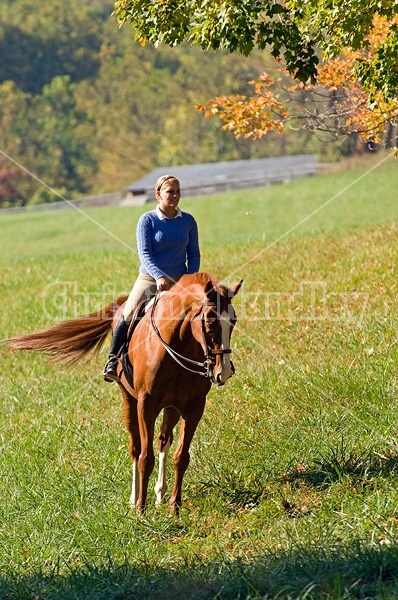 Young woman riding a chestnut horse. 