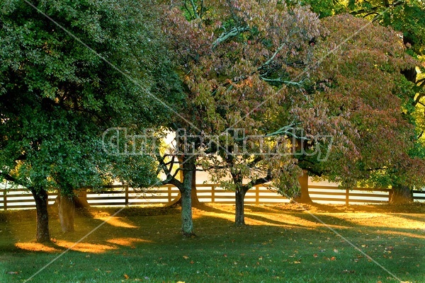 Autumn farm scene