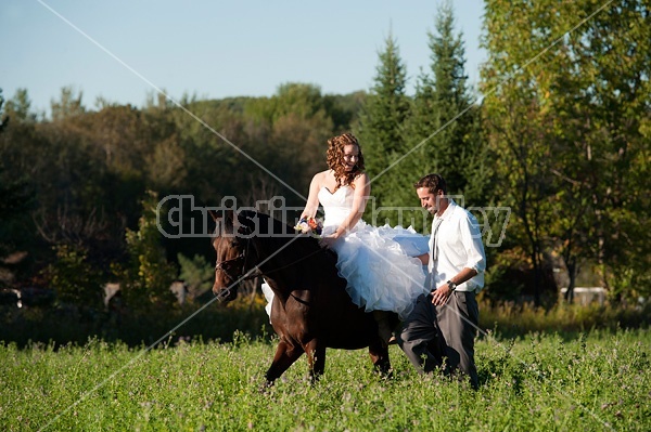 Bride and groom with horse