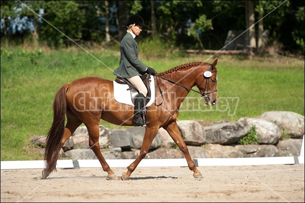 Lanes End Horse Trials