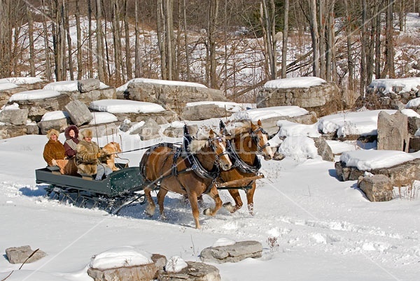 Horse drawn sleigh ride