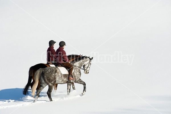 Husband and wife horseback riding through the deep snow