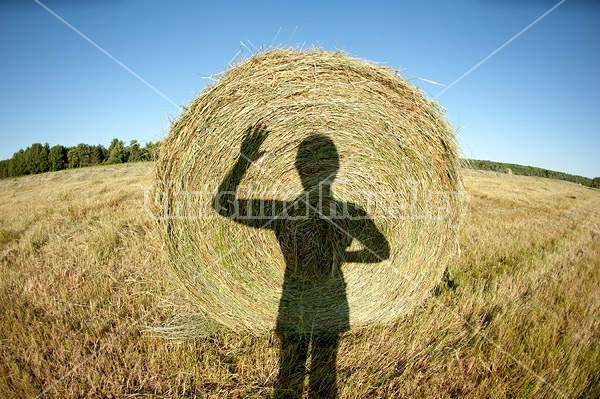 Maling fun selfie shadows on the side of a round bale of hay