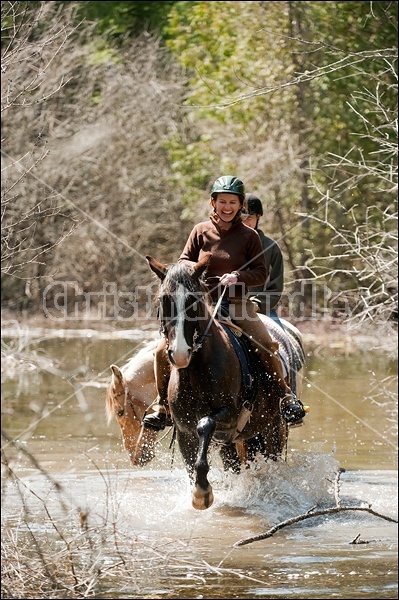 Riding Rocky Mountain Horses