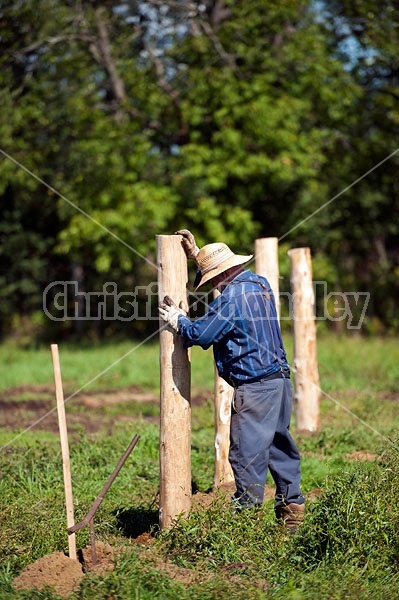 Farmer building new fence