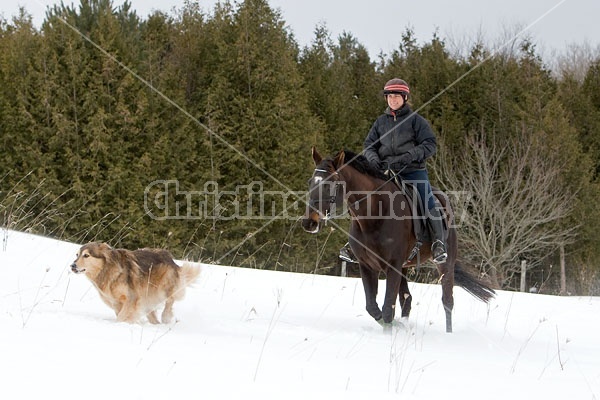 Woman horseback riding in the winter