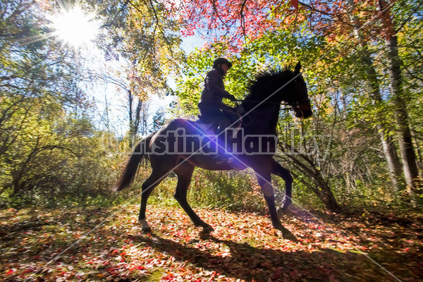 Woman horseback riding through magical forest with over hanging trees