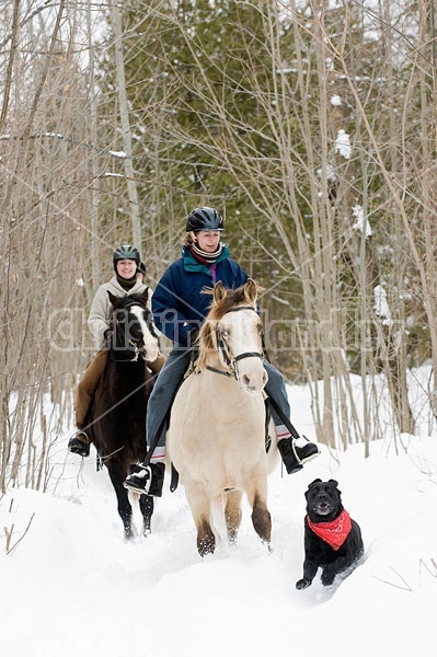 Horseback riding in the snow in Ontario Canada