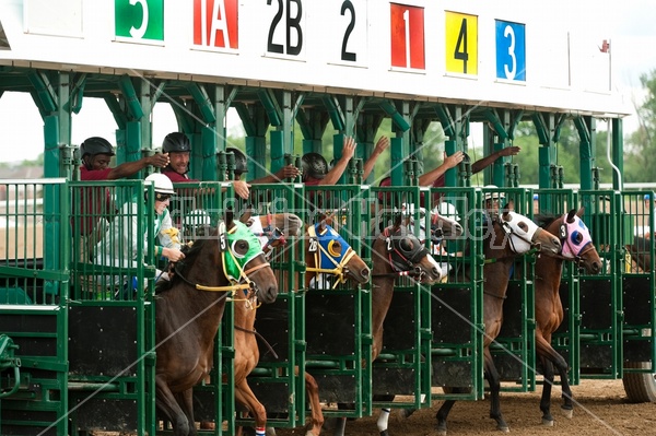 Quarter Horse Racing at Ajax Downs