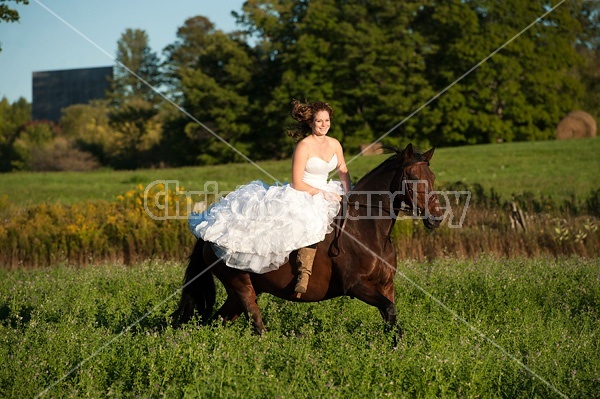 Woman riding horse wearing a wedding dress