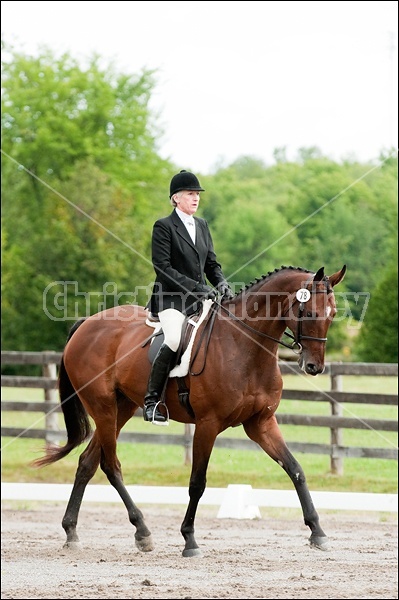 Lanes End Horse Trials