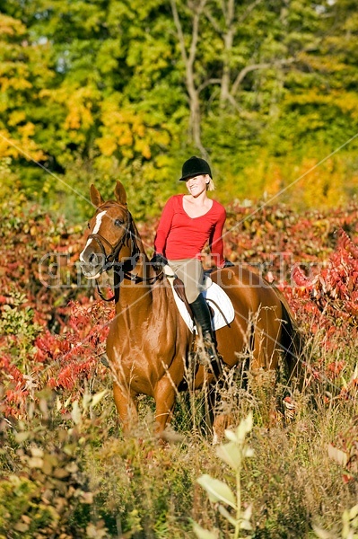 Young woman horseback riding in the fall of the year.