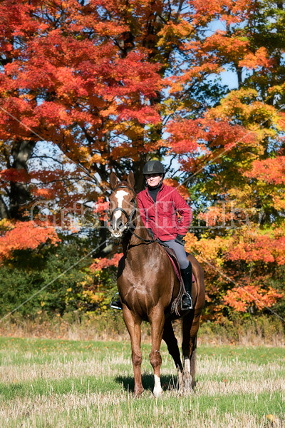 Woman riding chestnut horse in the autumn time