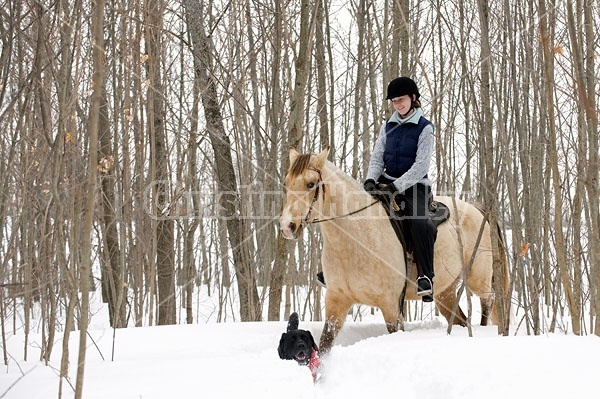 Horseback riding in the snow in Ontario Canada