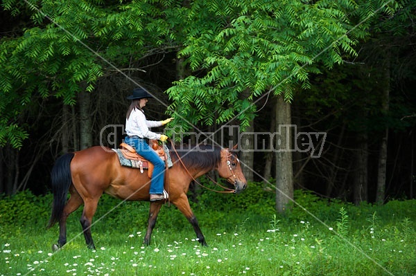 Young woman trail riding in Ontario Canada