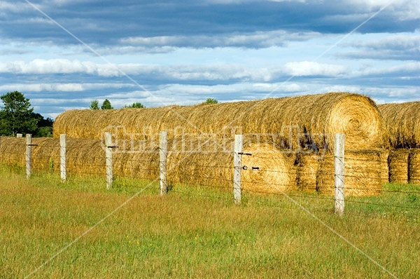 Round bales of hay piled up for winter storage