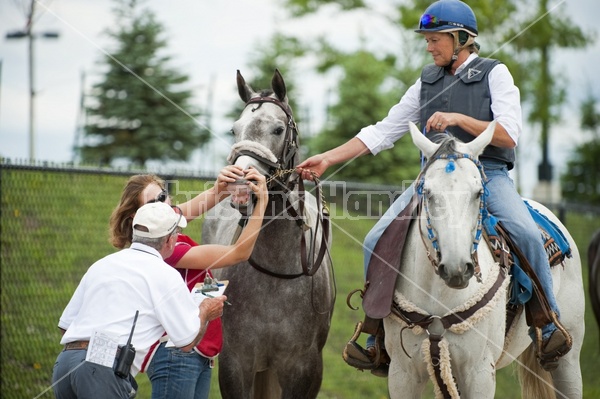 Quarter Horse Racing at Ajax Downs