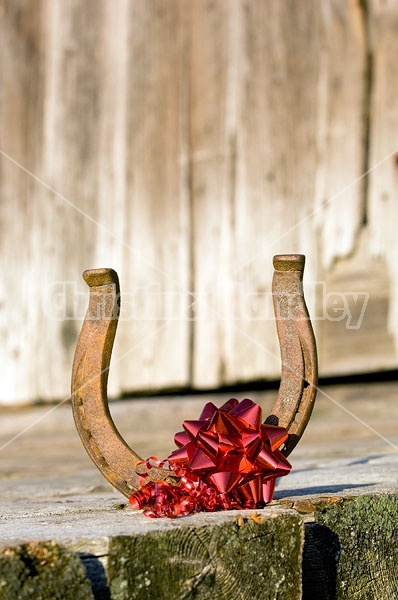 Horseshoe Christmas decoration