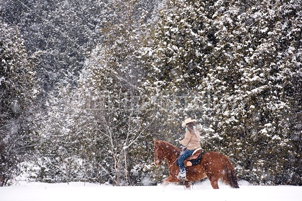 Young woman riding horse in snowstorm in Ontario Canada