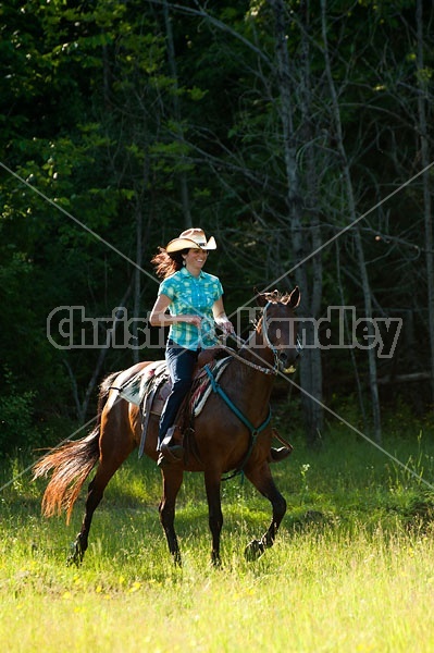 Woman trail riding on Standardbred mare