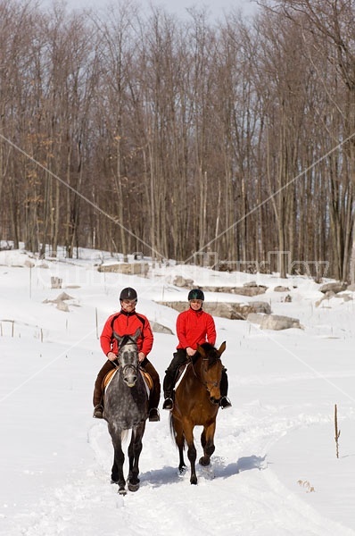 Horseback Riding in the Winter in Ontario Canada