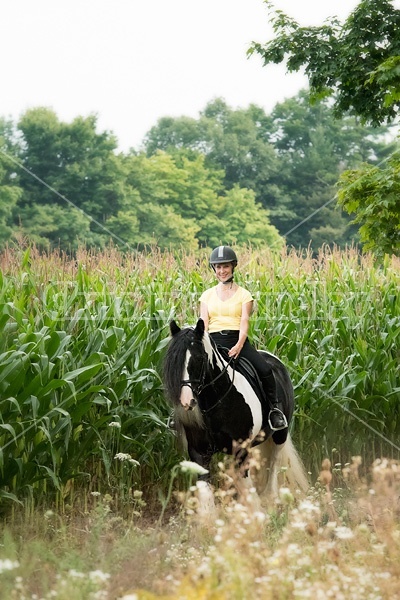 One woman riding a Gypsy Vanner horse.