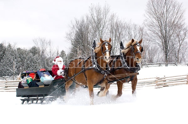 Santa Claus driving sleigh